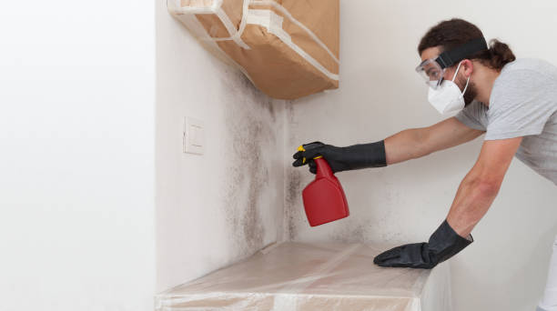 Professional Commercial Mold Remediation technician working in Mathews, VA