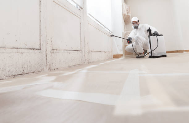 24/7 Emergency Commercial Mold Remediation experts in Mathews, VA